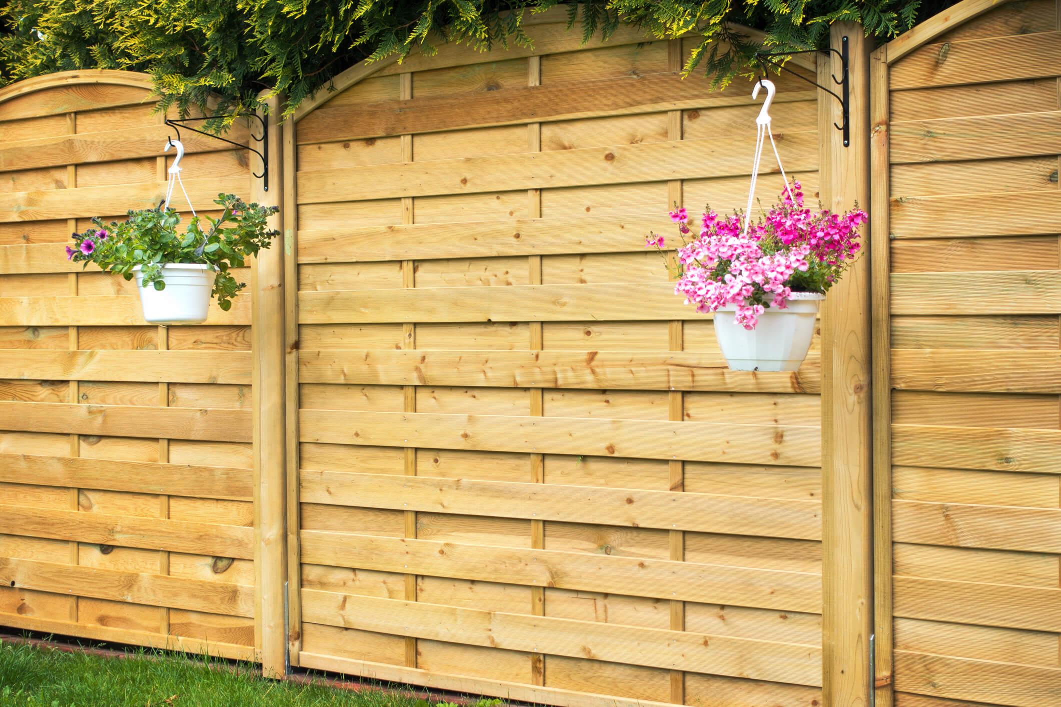 Fence-Panel-539325553_2125x1416 Garden Design Aldershot